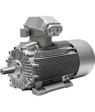 Load image into Gallery viewer, มอเตอร์กันระเบิด Innomotics (Siemens)