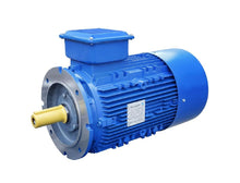 Load image into Gallery viewer, มอเตอร์ PalaDrive ประสิทธิภาพสูง