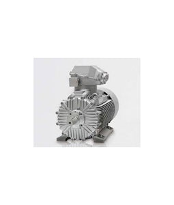 มอเตอร์กันระเบิด Innomotics (Siemens)