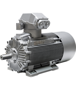 มอเตอร์กันระเบิด Innomotics (Siemens)